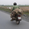 Transporte 08.jpg